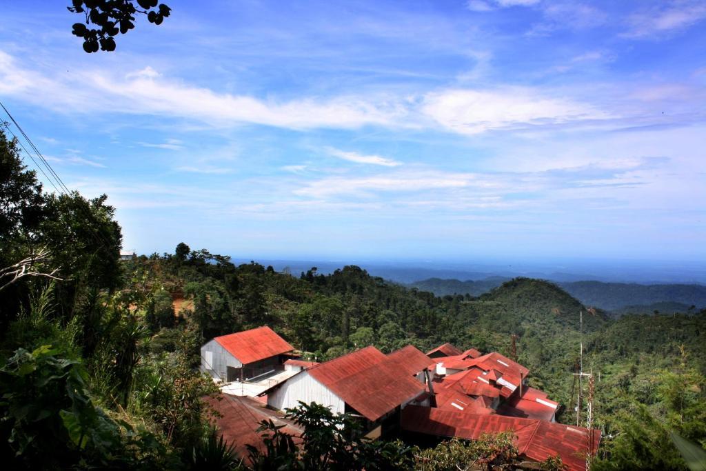 Finca Hamburgo La Ruta Del Cafe Tuzantan Екстер'єр фото