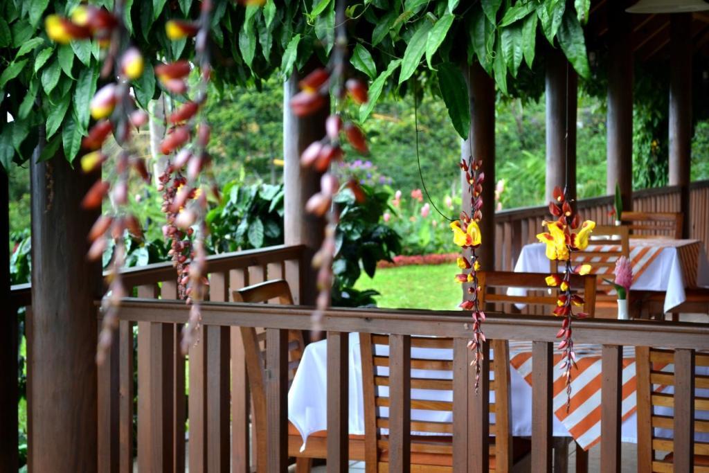 Finca Hamburgo La Ruta Del Cafe Tuzantan Екстер'єр фото